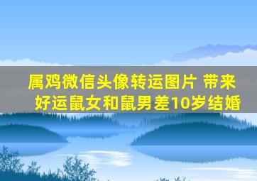 属鸡微信头像转运图片 带来好运鼠女和鼠男差10岁结婚